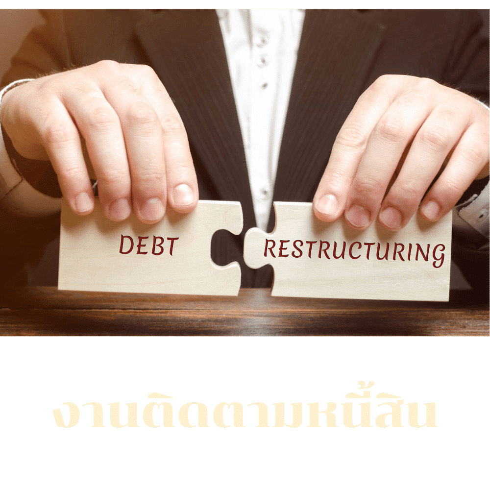 งานติดตามหนี้สิน